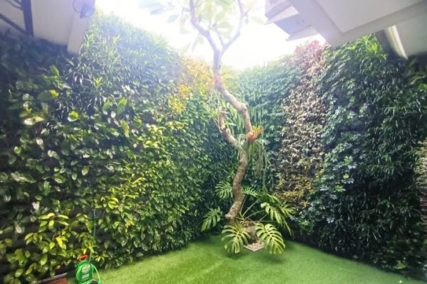 Tukang Taman Kita (20)