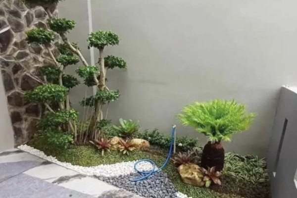 Tukang Taman Kita (31)