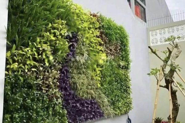 Tukang Taman Kita (34)